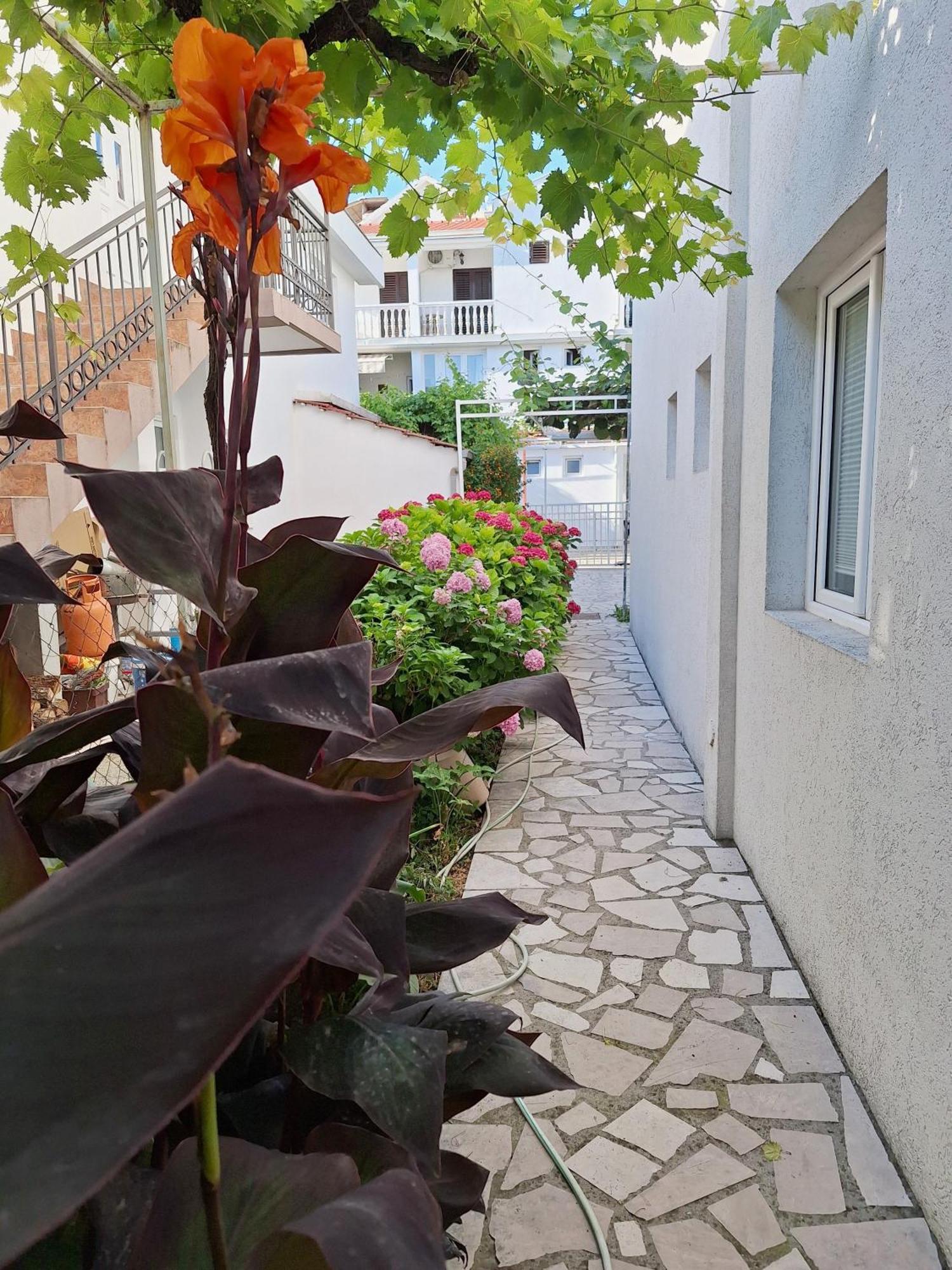 Hortenzija Appartement Budva