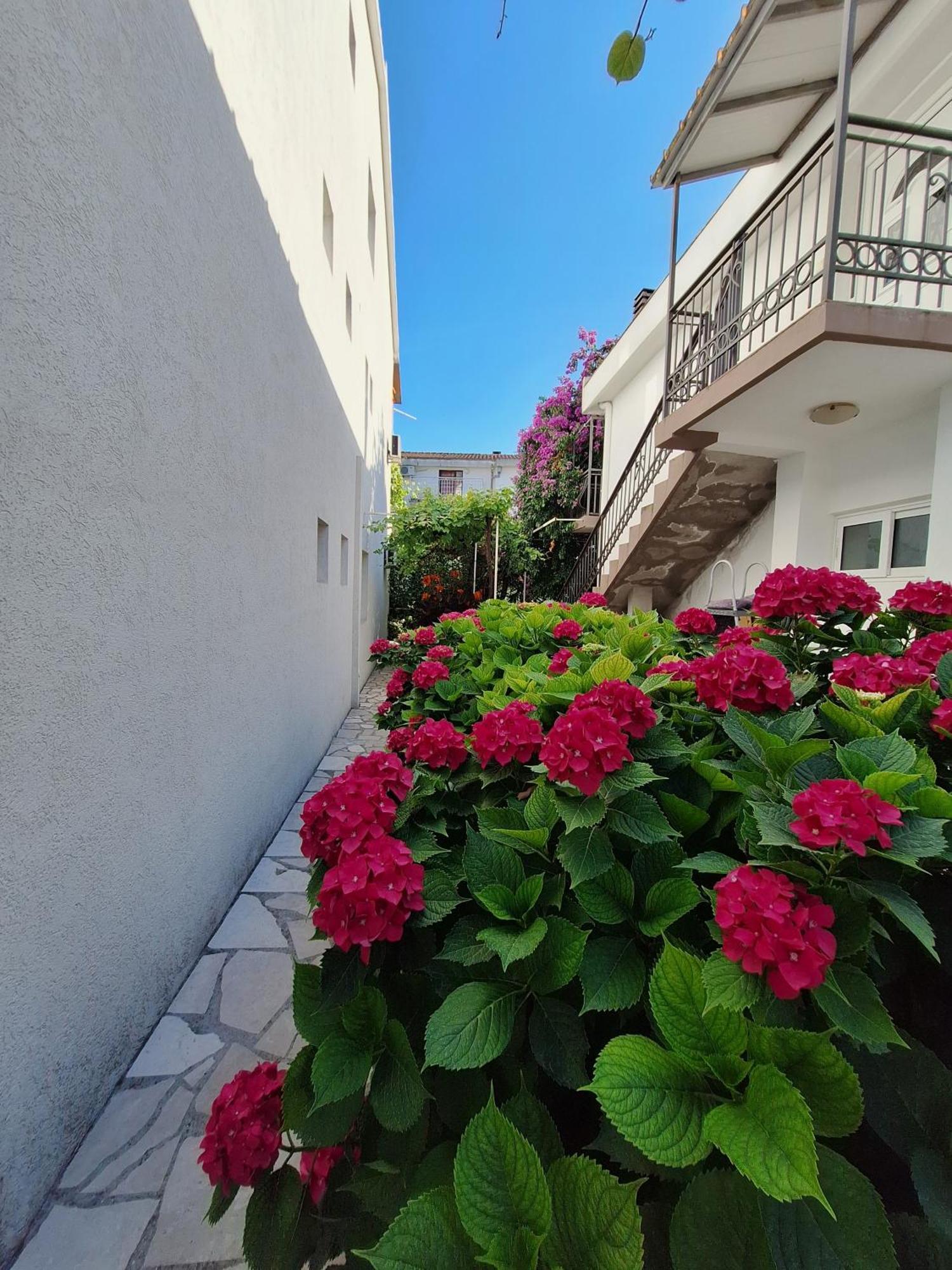 Hortenzija Appartement Budva